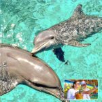tours islas del rosario, tours islas del rosario en lancha, pasadia islas del rosario, tours baru, playa blanca baru, planes en cartagena, playa blanca cartagena