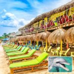 tours islas del rosario, tours islas del rosario en lancha, pasadia islas del rosario, tours baru, playa blanca baru, planes en cartagena, playa blanca cartagena