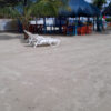 Pasadia tierra bomba, pasadia punta arena, costa azul punta arena, playas de Cartagena, planes en Cartagena, Albitours Cartagena, day tours cartagena