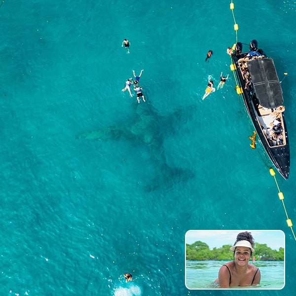 Tours top Luxury 3 islas